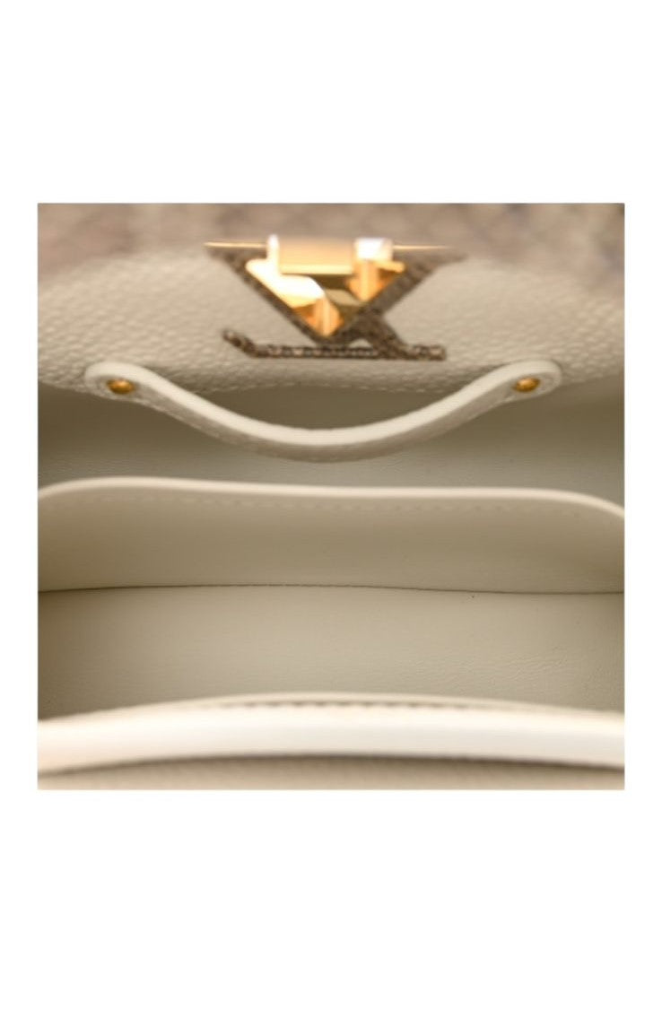 UAE Louis Vuitton Taurillon Ayers Capucines Mini White Snow White